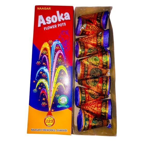 Flower Pots Asoka